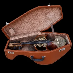 هاردکیس قیچک